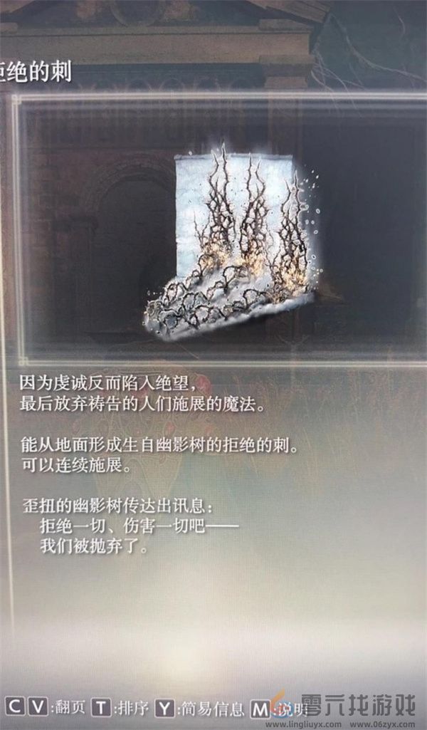 艾尔登法环黄金树幽影荆棘法师流玩法指南(图3) 艾尔登法环黄金树幽影荆棘法师流玩法指南(图3)