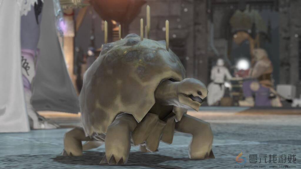 ff14精金幼龟获得方法(图2)